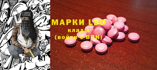 индика Арсеньев
