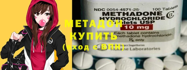 индика Аркадак