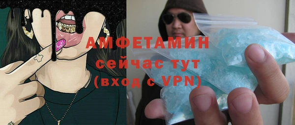 индика Арсеньев
