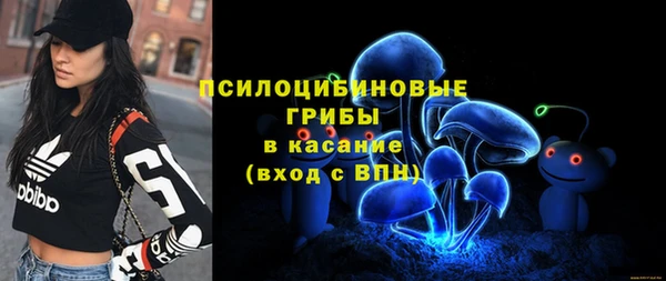 прущие крисы Кодинск