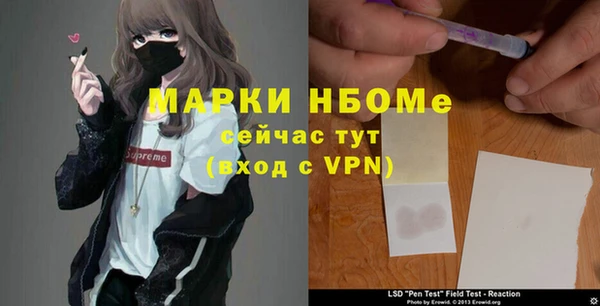 индика Аркадак