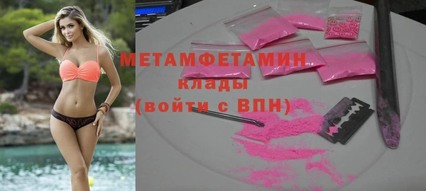 индика Аркадак