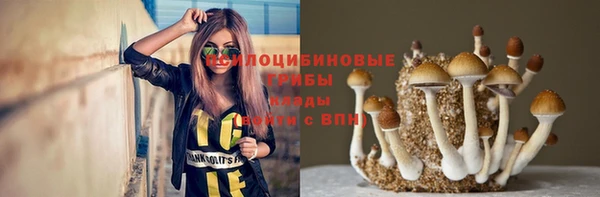 индика Арсеньев