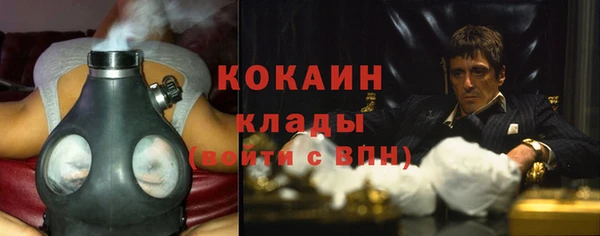 бошки Алзамай