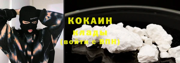 индика Аркадак