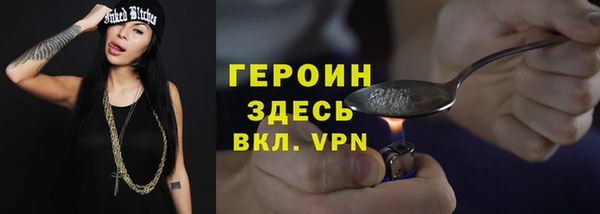 индика Арсеньев