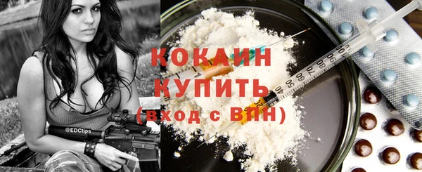 индика Аркадак