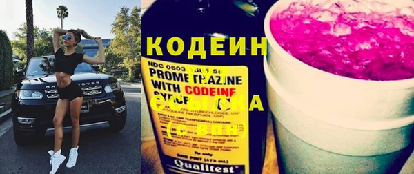 индика Арсеньев