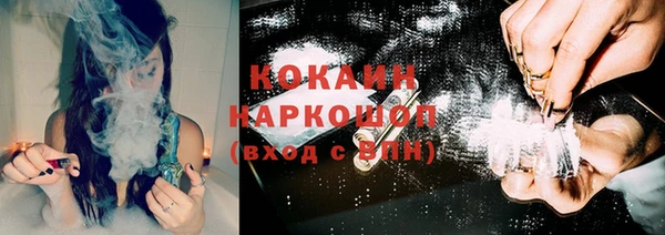 индика Арсеньев