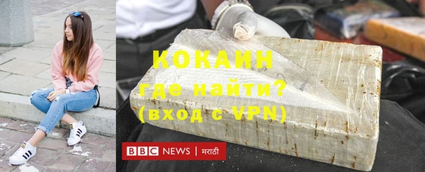 индика Арсеньев