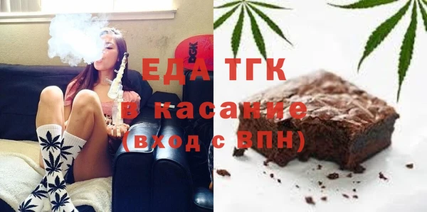 индика Арсеньев