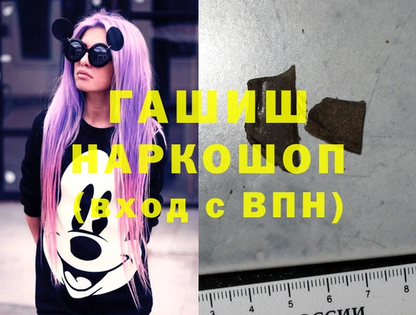 индика Арсеньев