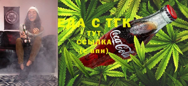 индика Аркадак